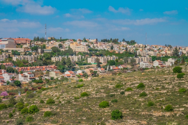 Ari'el skyline of buildings in trees in desert